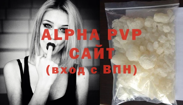 СК Новодвинск