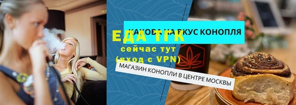 СК Новодвинск